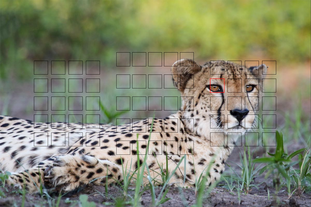 An image showing focal points in a camera